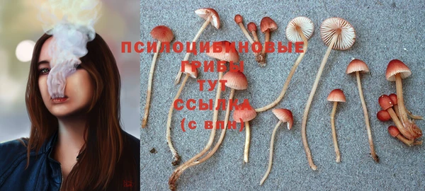 MDMA Premium VHQ Покров