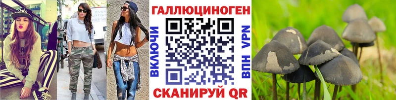 Псилоцибиновые грибы Magic Shrooms  дарнет шоп  Стародуб 