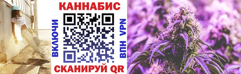 Каннабис планчик  blacksprut tor  Стародуб 